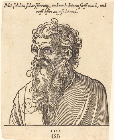 Portrait of an Elderly Man Facing Left by Sebald Beham