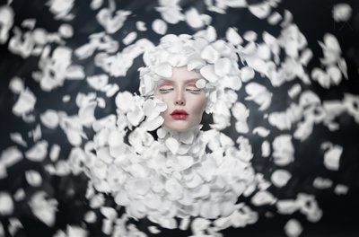 White Petal Dream by See Plus