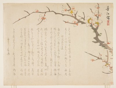 Flowering Plum, January 1837 by Seik Hashimoto