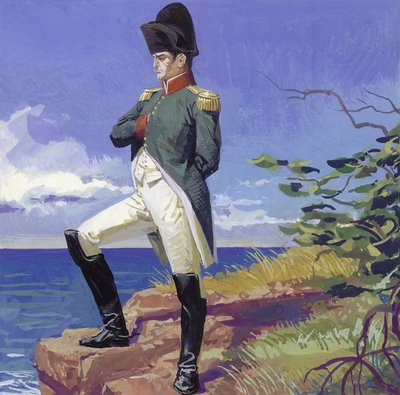 Napoleon in Exile on the Island of St Helena by Severino Baraldi