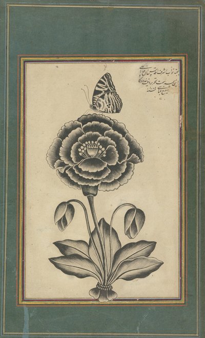 Flower and a Butterfly by Shafi