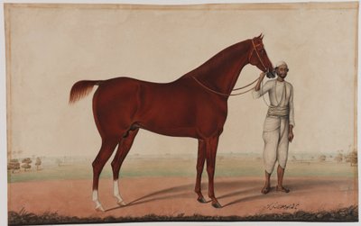 A Horse and Groom by Shaik Muhammad Amir of Karraya