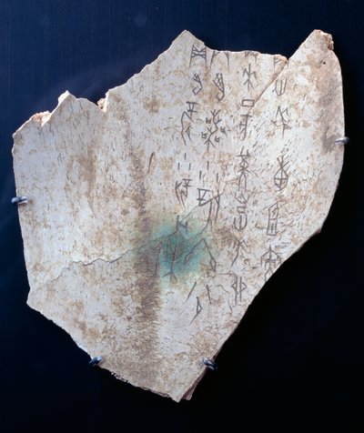 Pictogram on an ox scapula with a ritual to ward off danger by Shang Dynasty Chinese School