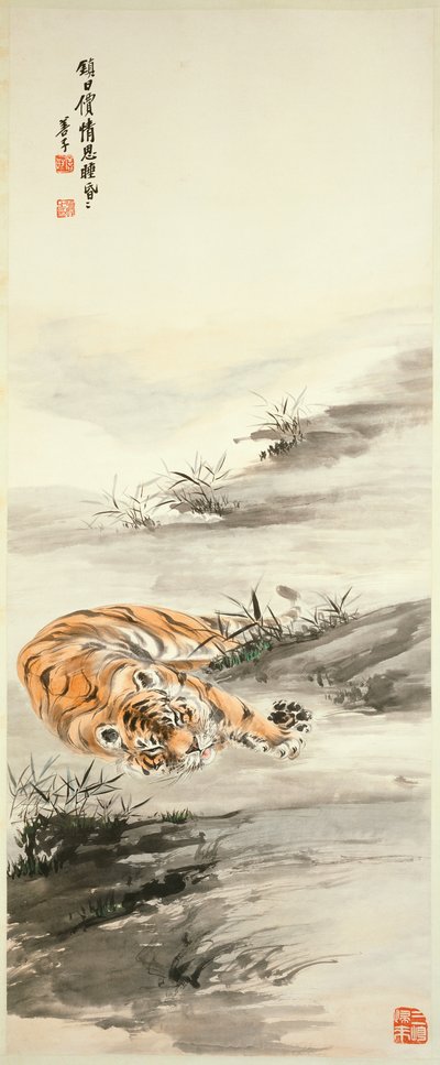 Tiger by Shanzi Zhang
