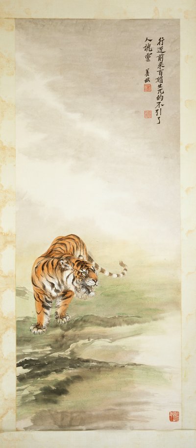 Tiger by Shanzi Zhang