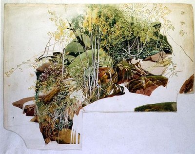 Foliage and Rocks by Sheldon Burrows Adams