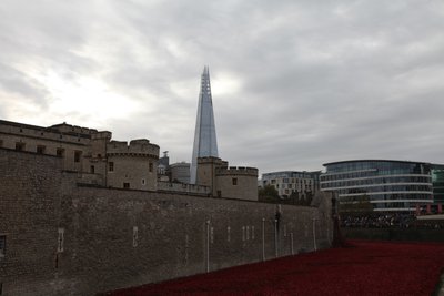 Blood Swept Lands and Seas of Red, Tower of London, 2014 by Sheldon Marshall