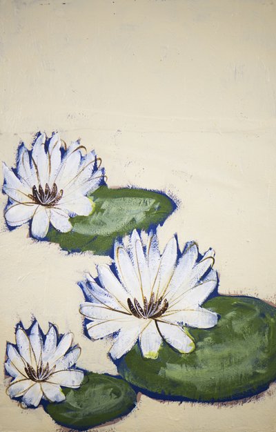 White Water Lilies by Shelley Hampe
