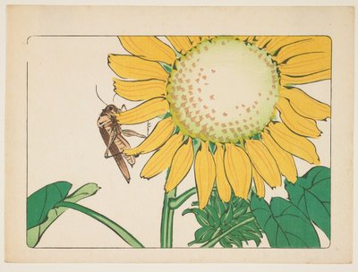 Grasshopper and Sunflower by Shibata Zeshin