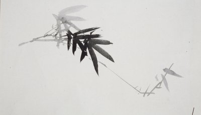 Flower Studies by Shibata Zeshin