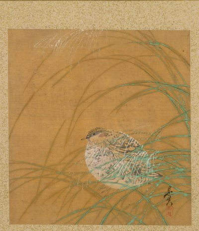 Quail in Grass from Album of Paintings by the Venerable Zeshin by Shibata Zeshin