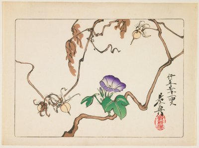 Vine and Seeds of Morning Glory by Shibata Zeshin