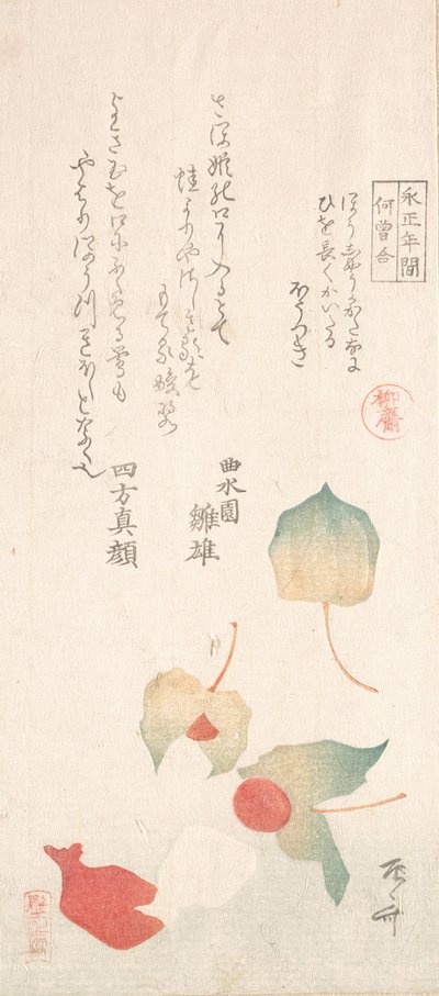 Winter Cherries by Shinsai