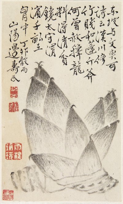 Bamboo Shoots, from an Album of Vegetables by Shou min Pien