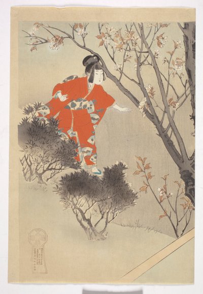 Three Blooming Cherry Trees, from the series 