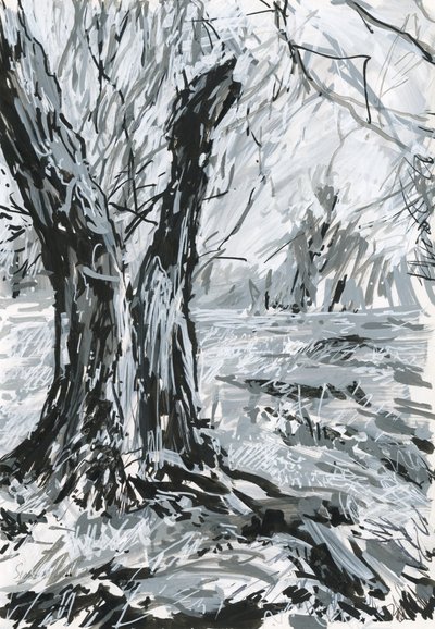 Old Tree, Richmond Park by Simon Neville