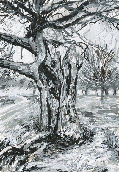 Old Tree, Richmond Park by Simon Neville