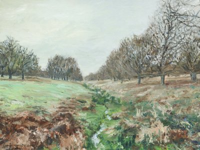 Richmond Park by Simon Neville