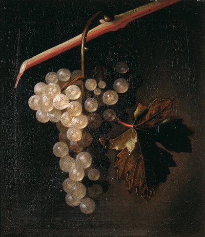 A Bunch of Grapes Hanging before a Stone Wall by Simon Peeterz Verelst