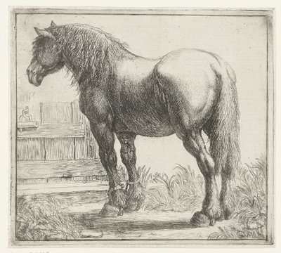 Workhorse by a Fence by Simon de Vlieger