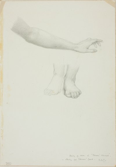 Arm and Feet, study for Mirror of Venus by Sir Edward Burne Jones
