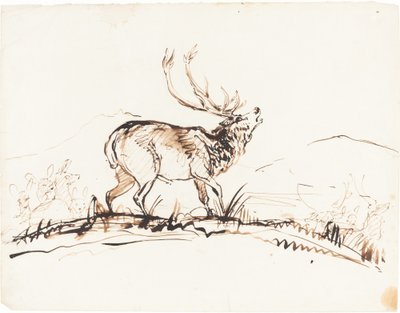A Bellowing Stag by Sir Edwin Landseer
