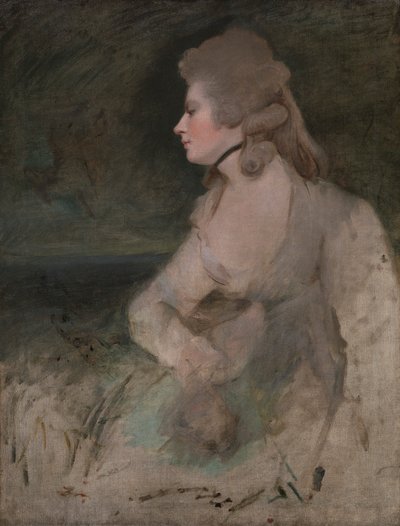 Mrs. Robinson by Sir Joshua Reynolds RA
