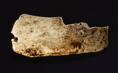 The image of a mammoth carved on a prehistoric mammoth ivory by Sisse Brimberg