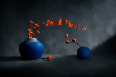 Blue Vases Orange Blooms by Siyu_Wei APA