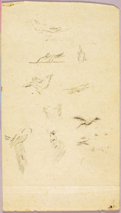Birds by Solon H. Borglum