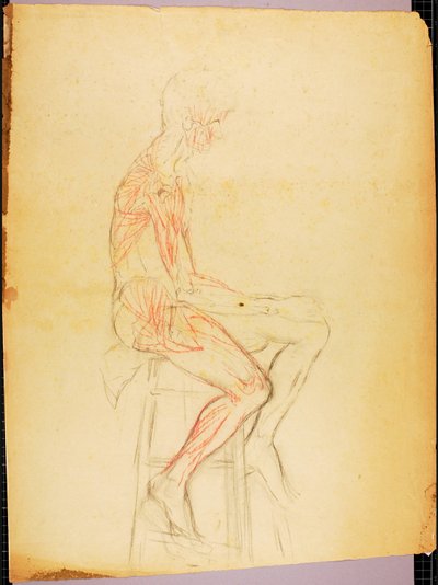 Boy by Solon H. Borglum