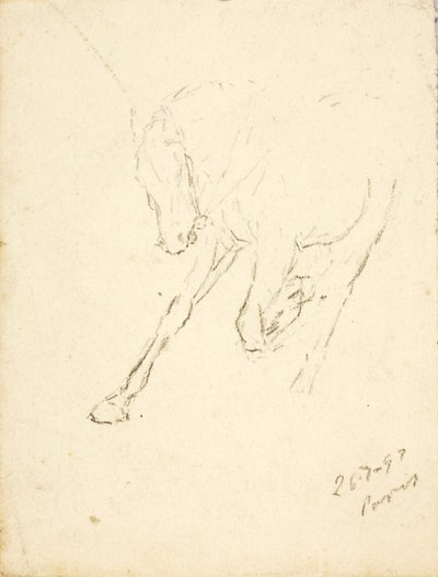 Horse by Solon H. Borglum