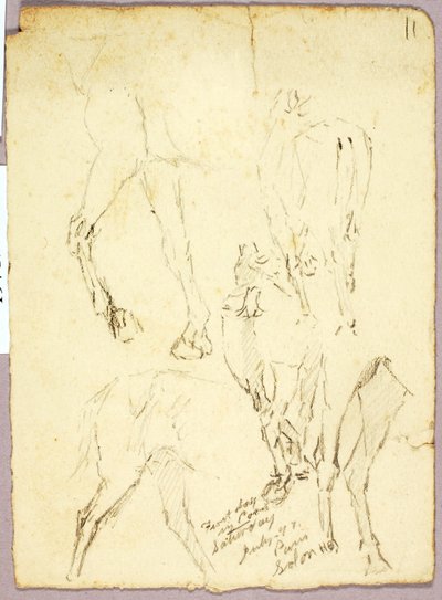 Horses by Solon H. Borglum
