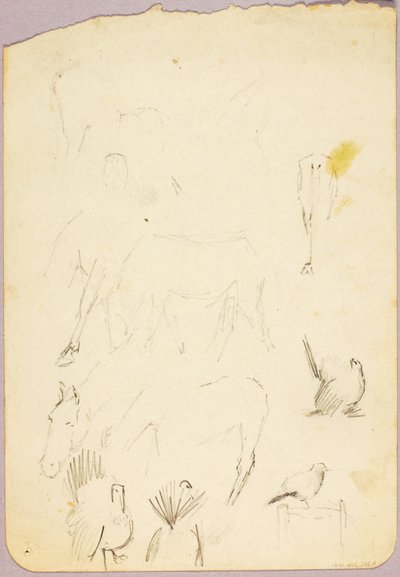 Horses and Turkeys by Solon H. Borglum