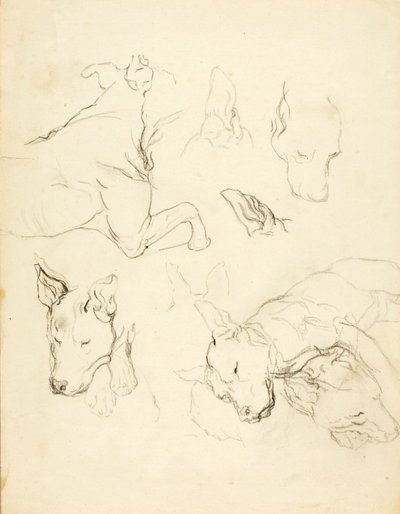 Sleeping Dogs by Solon H. Borglum