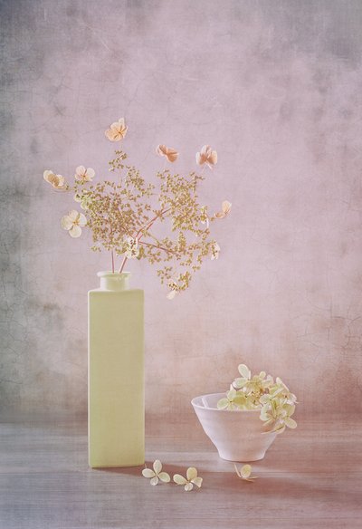 Delicate Pastel Still Life by Sophie Pan