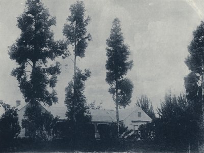 A Dutch Farm, near New Croesus Gold Mining Company (b/w photo) by South African Photographer