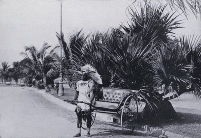 Bay Esplanade, Durban, showing Ricksha by South African Photographer