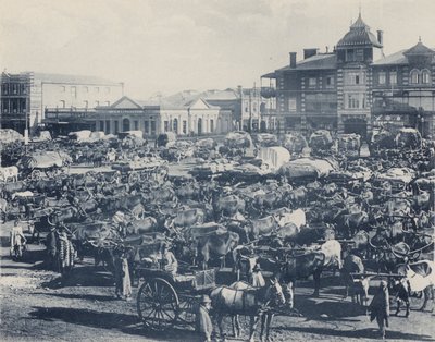 Early Morning Market by South African Photographer