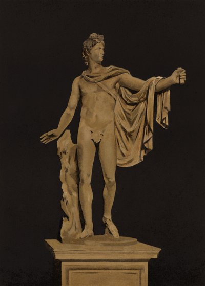 Apollo Belvedere by Spanish School