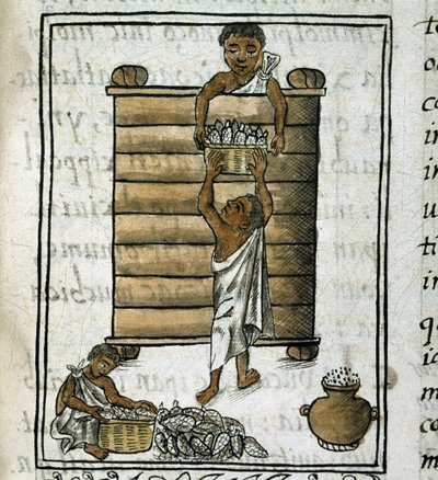 Codex of the conquest of Mexico: Corn Harvest by Spanish School