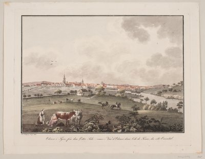 Odense on Funen, from the Eastern Side by Søren L. Lange