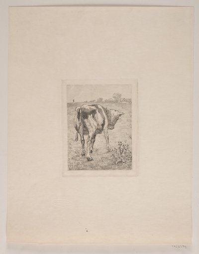 A Calf by Søren Lund