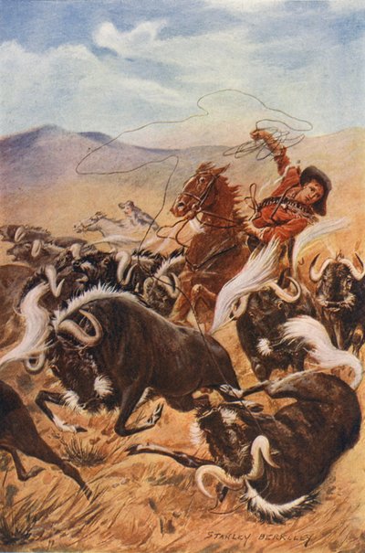 Cowboy lassoing muskoxen by Stanley (after) Berkeley