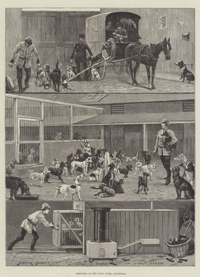 Sketches at the Dogs