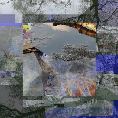 Fragmented Tree Reflection by Stefan Fransson