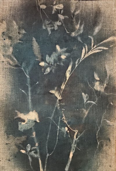 Blue Botanical Study by Stefano Mazzolini
