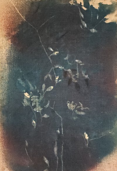 Dark Blue Botanicals by Stefano Mazzolini