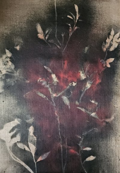 Dark Botanical Glow by Stefano Mazzolini