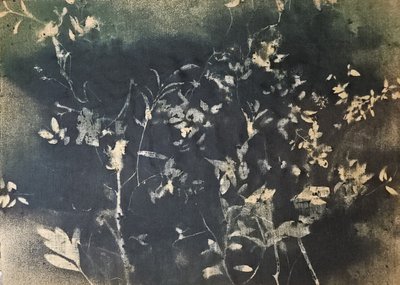 Dark Botanical Silhouettes by Stefano Mazzolini